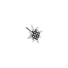Σκουλαρίκι αστέρι με γράνες με καρφί τιτανίου σε συσκευασία 12 τεμαχίων - So Cute Cut