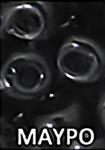 Χάντρα ψείρα ματ 2mm σε συσκευασία ~30.000 τεμαχίων - So Cute Cut